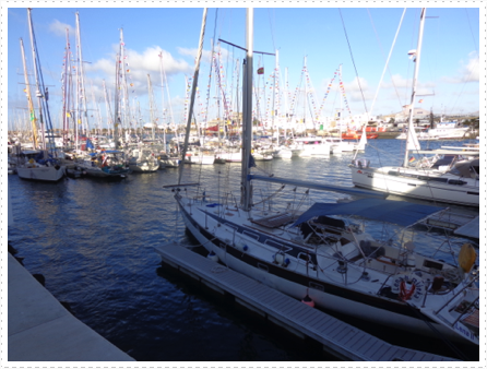 Barbados50 dressed yachts Barbados50 dressed yachts